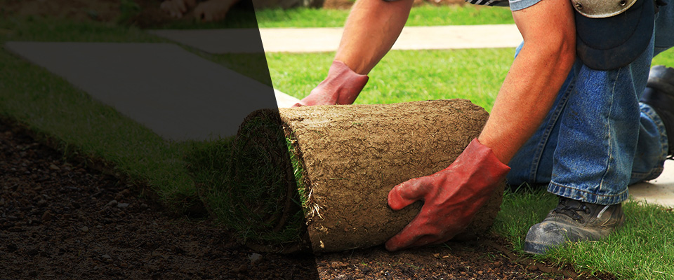 Ocean City Landscapers